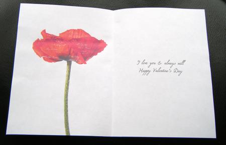 Poppy & Words Insert Valentine's Day by Charlie Angel