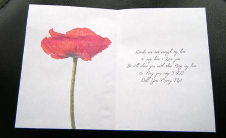 Poppy & Words Insert: Will You Marry Me? by Charlie Angel