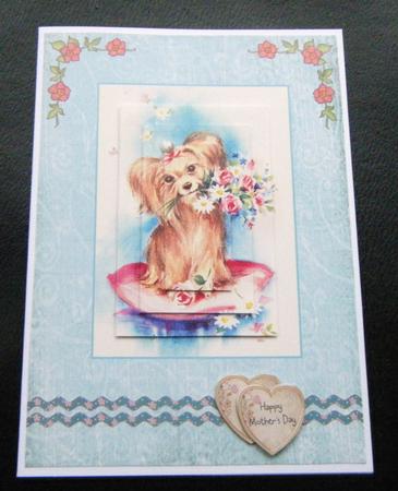 A Yorkie, with Love by Charlie Angel