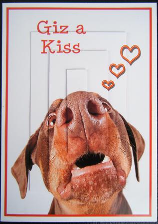 Giz a Kiss Funny Doberman Dog A4 Card Featured Gallery Photo