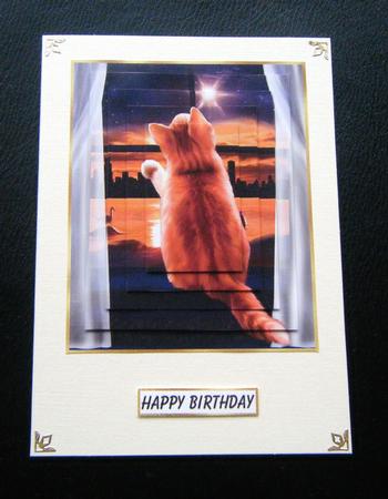 Cat at the Window Oblong Pyramage by Charlie Angel