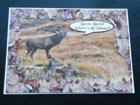 Stag Card Topper by Charlie Angel