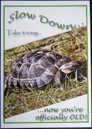 Retirement, 65th, 60th Birthday Tortoise Card by Charlie Angel