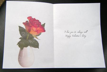 Rose & Words Insert Valentine's Day by Charlie Angel
