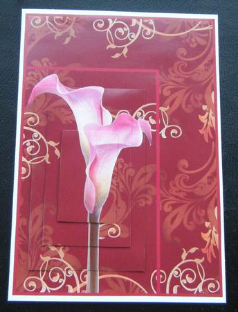 Indian Summer Cala Lily Anniversary Card by Charlie Angel