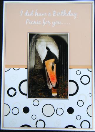 Swan Ate the Picnic Birthday Pyramid by Charlie Angel