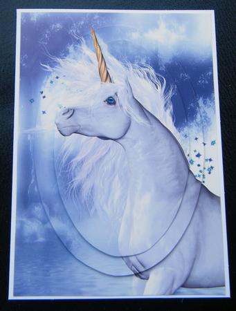 Unicorn Dreams A4 Card Front by Charlie Angel