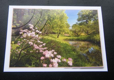 Spring Landscape 2 Corner Stacker by Charlie Angel