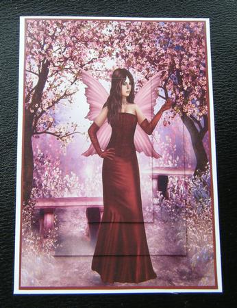 Aphrodisiac Fairy A4 Topper by Charlie Angel