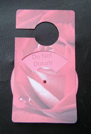 Raindrop on a Rose Spinnin' Door Hanger by Charlie Angel