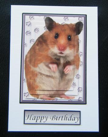 Hamster Pyramid by Charlie Angel