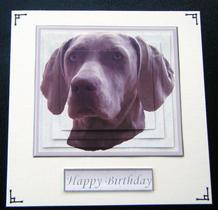 Weimaraner Dog Portrait Pyramid by Charlie Angel