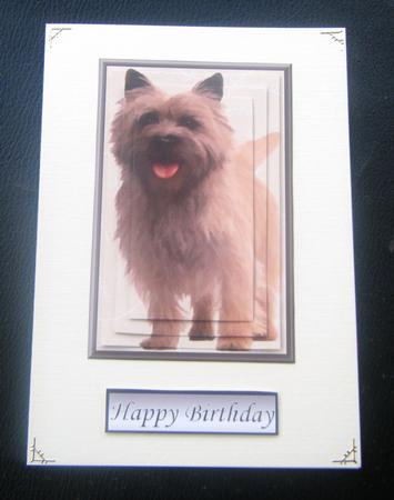 Cairn Terrier Dog Pyramid by Charlie Angel