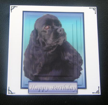 American Cocker Black Spaniel Pyramid by Charlie Angel