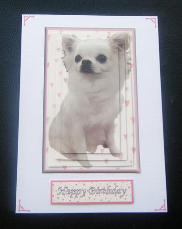 Chihuahua Pyramid by Charlie Angel