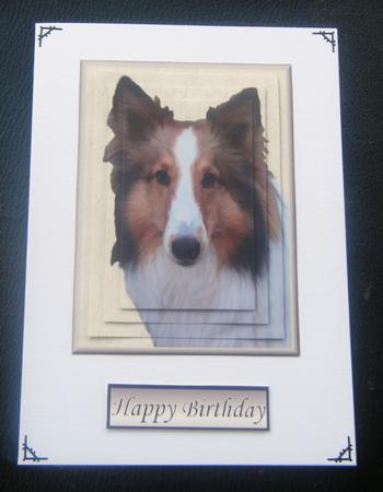 Collie Portrait Pyramid by Charlie Angel