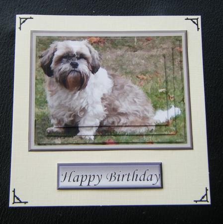 Shih Tzu Dog Pyramid by Charlie Angel