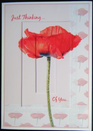 Poppy & Lace Thinking of You A4 Topper by Charlie Angel