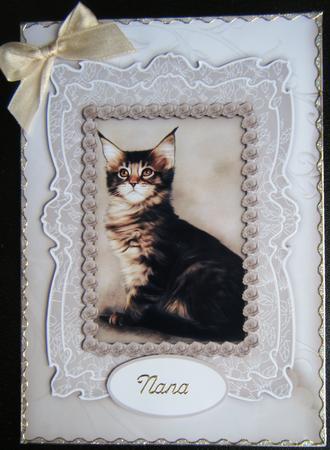 Cat in Coffee and Cream Toppers by Charlie Angel
