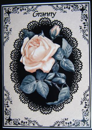 Peach Rose and Black Lace by Charlie Angel
