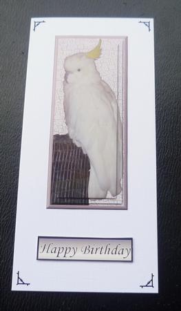 Cockatoo Pyramid by Charlie Angel
