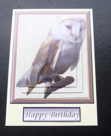Barn Owl Pyramid by Charlie Angel