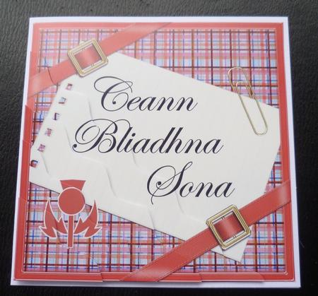 Scottish Tartan Anniversary Wavy Corner by Charlie Angel