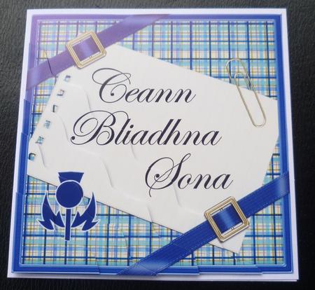 Scottish Tartan Anniversary Wavy Corner by Charlie Angel