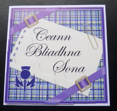 Scottish Tartan Anniversary Wavy Corner by Charlie Angel