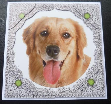 Golden Retriever Puppy Dog 3D Lace Framed Corner Stacker by Charlie Angel