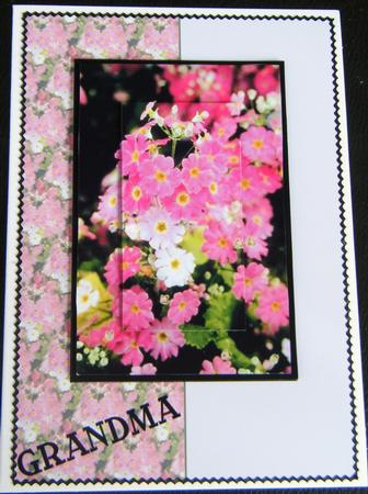 Pink Flowers for Grandma by Charlie Angel