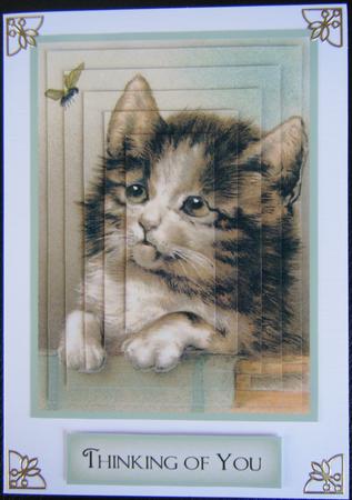 Curious Kitten - Pyramid by Charlie Angel