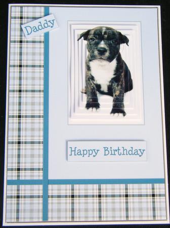 Puppy Pyramid Blue Check. by Charlie Angel