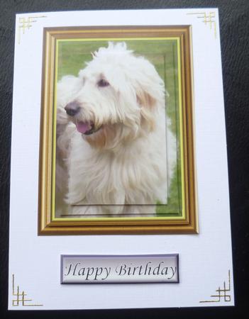 Labradoodle Dog Pyramid by Charlie Angel