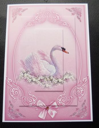 The Beauty of the Swan Card Fronts by Charlie Angel