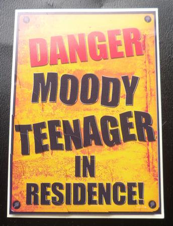 A5 Fun Novelty Moody Teenager Scallop Corner Side Stacker by Charlie Angel