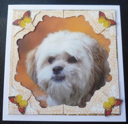Stanley the Shih Tzu Dog Decoupage Lace Frame Corner Stacker by Charlie Angel