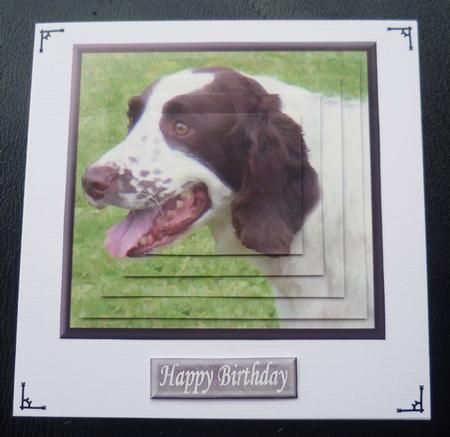 Springer Spaniel Portrait Pyramid by Charlie Angel