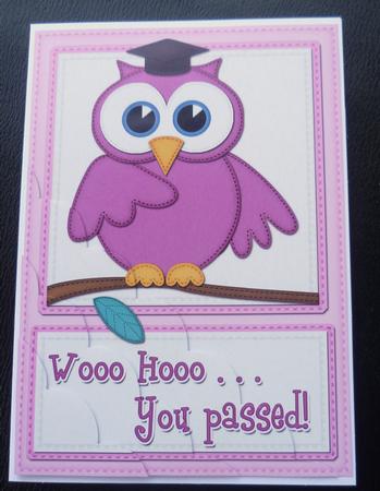 A5 Wise Owl Exam Congrats Felties Scallop Side Stacker by Charlie Angel