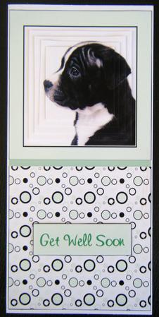 Puppy & Circles Pale Green Dl Pyramid by Charlie Angel