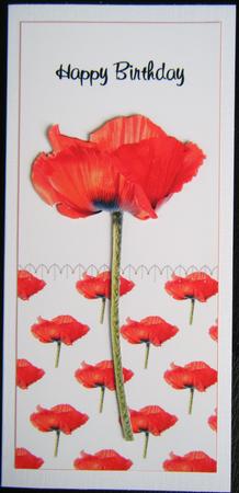Single Red Poppy Dl Card Front Duo. by Charlie Angel