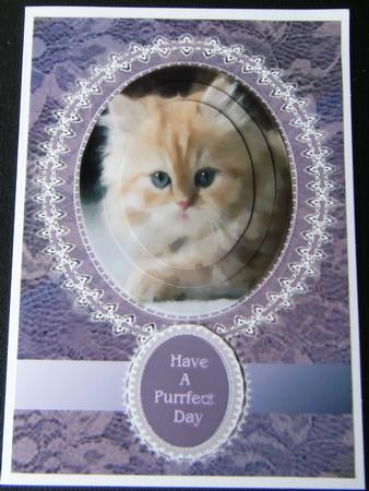 Purrfect Day by Charlie Angel