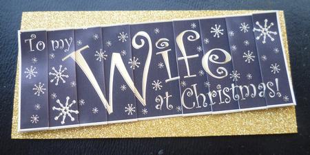 Wife Christmas Dl Side Stacker Topper by Charlie Angel