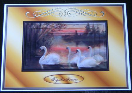 Love Eternal Swans Quick Card Front with Pyramage by Charlie Angel
