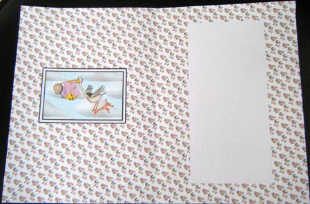 Bringing the Baby Girl Insert by Charlie Angel