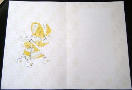 Baby Buggy New Baby Insert by Charlie Angel