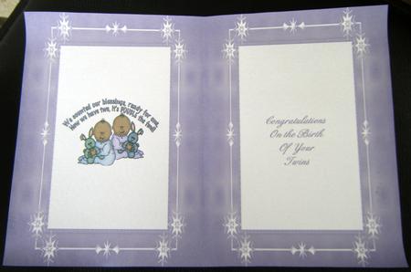 Twins 1 Insert by Charlie Angel