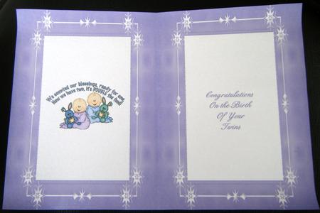 Twins 2 Insert by Charlie Angel
