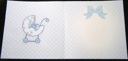 New Baby Insert Square Portrait by Charlie Angel