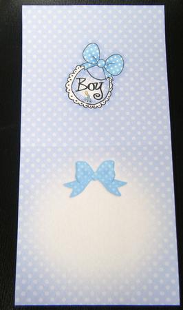 New Baby Insert Square Landscape by Charlie Angel
